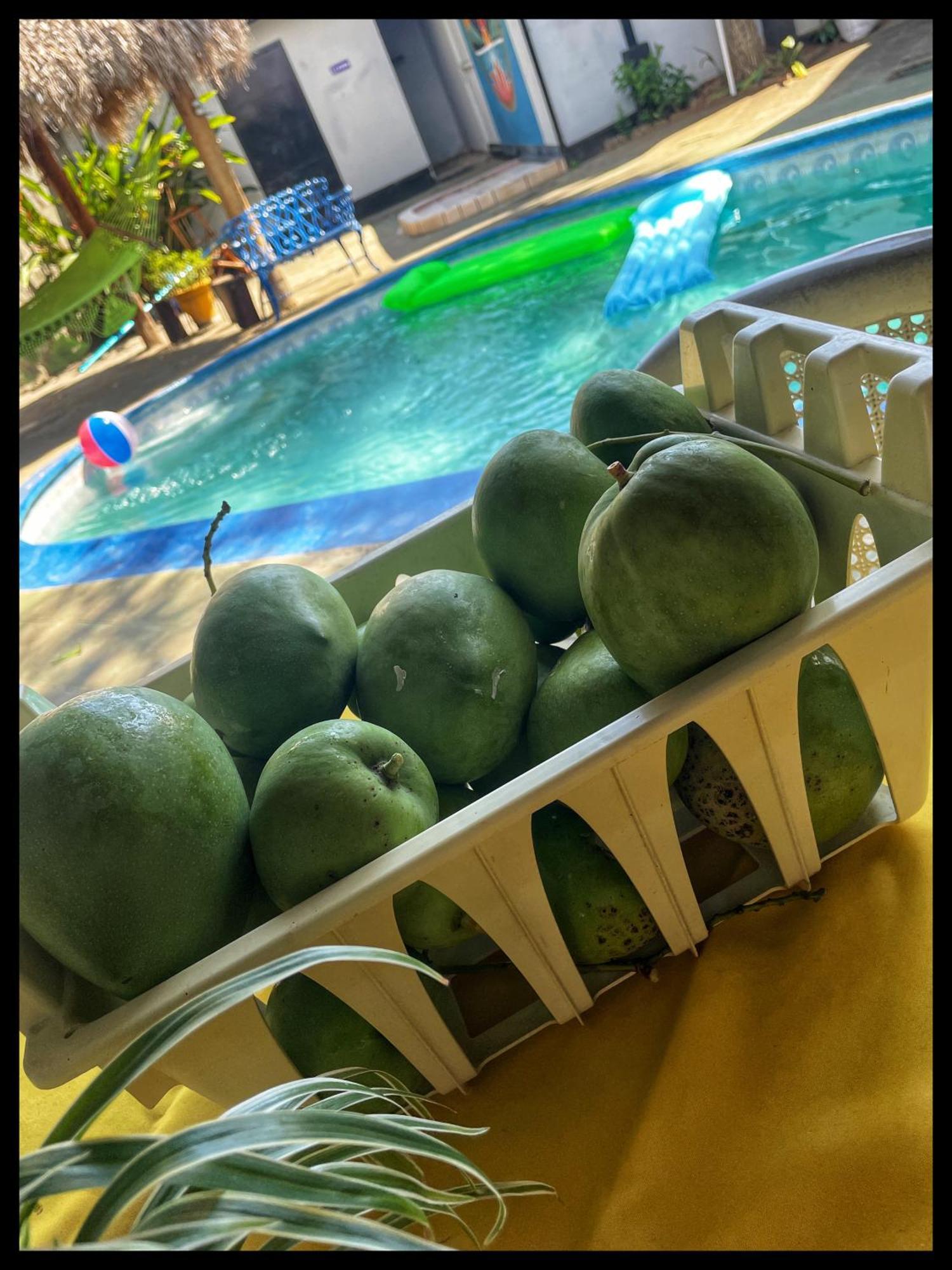 Managua Hotel Oasis Zewnętrze zdjęcie